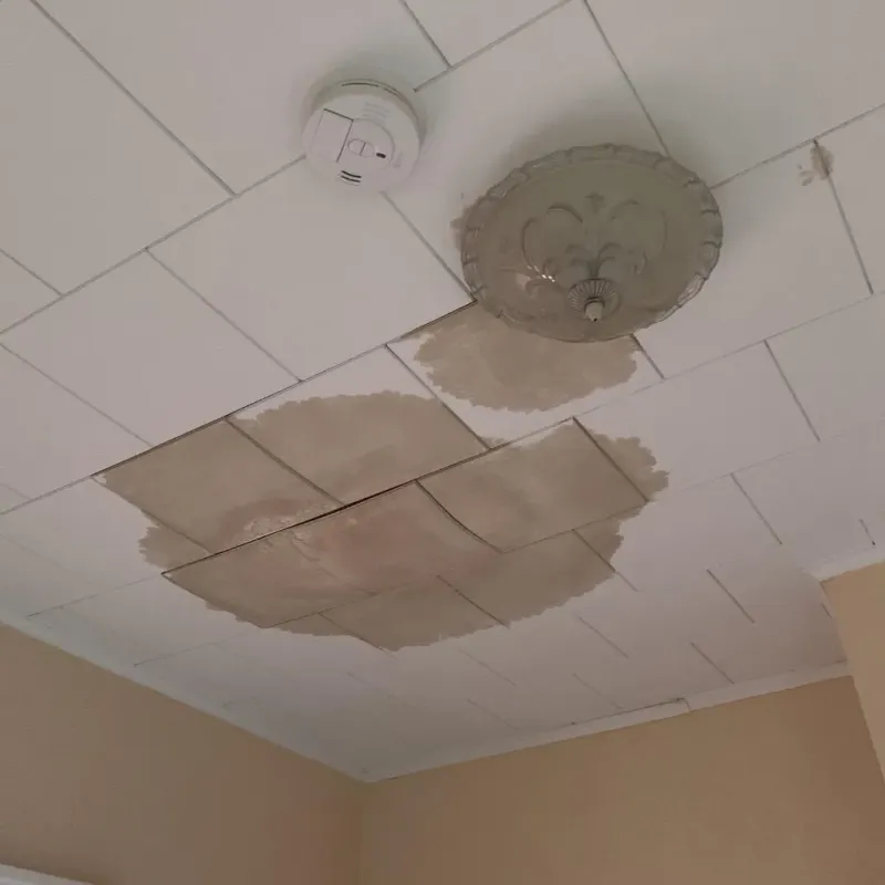 Ceiling Water Damage Repair in Southfield, MI