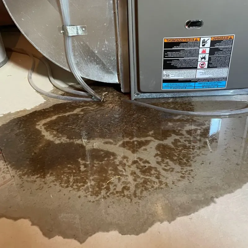 Pipe Burst and Leak Restoration in Southfield, MI