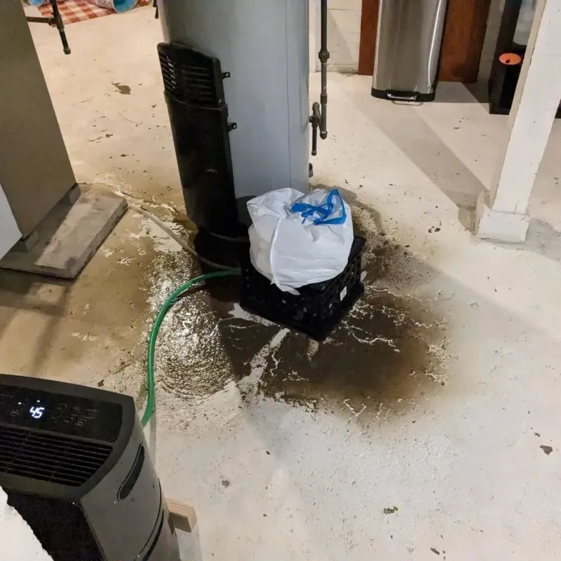 Sewage Backup Cleanup Service in Southfield, MI